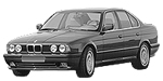 BMW E34 B229B Fault Code